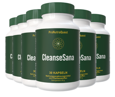 CleanSana